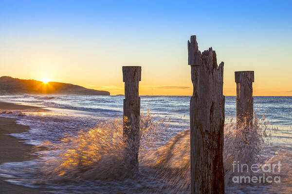 Beach Art Print featuring the photograph St Clair Beach Dunedin at Sunrise by Colin and Linda McKie