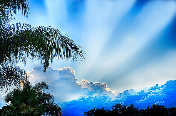 Sky Art Print featuring the photograph Stairway To Heaven by Don Durfee