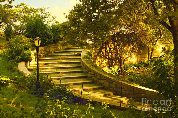 Park Art Print featuring the photograph Stairway To Nirvana by Madeline Ellis