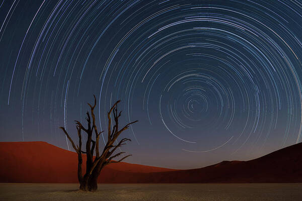Deadvlei Art Print featuring the photograph Star Trails Of Namibia by Karen Deakin