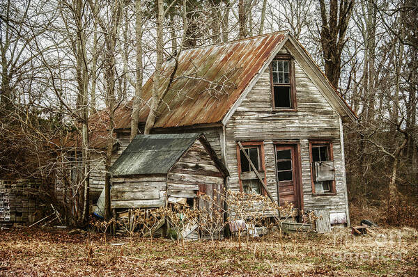 House Art Print featuring the photograph Still Standing by Terry Rowe