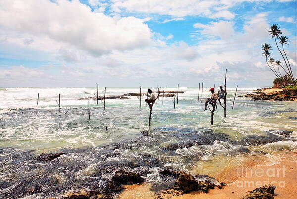 Lanka Art Print featuring the photograph Stilt fishermen by Paul Cowan
