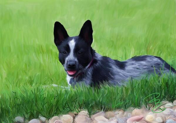 Stock Dog Art Print featuring the digital art Stock dog named Brook by Debra Baldwin
