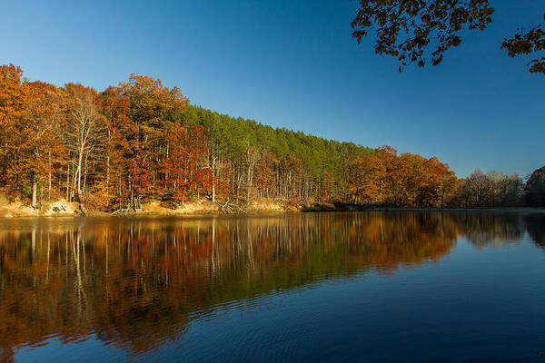 Indiana Art Print featuring the photograph Strahl Lake - Brown County State Park by Ron Pate
