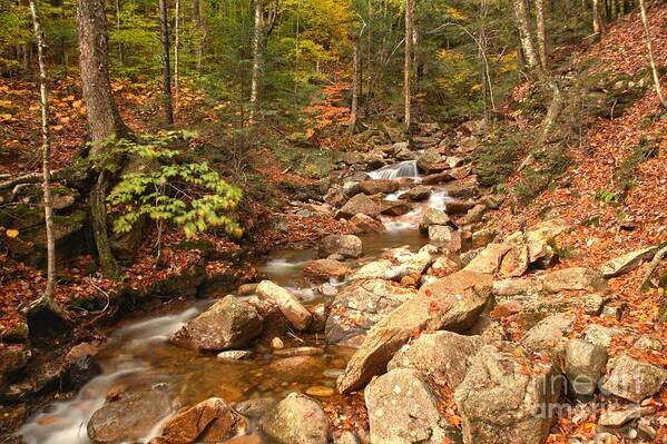 Franconia Notch Art Print featuring the photograph Streaming Through Franconia Notch by Adam Jewell