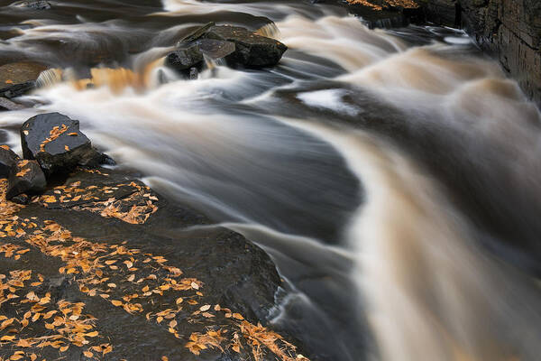 Leaves Art Print featuring the photograph Sturgeon River Rapids by Dean Pennala