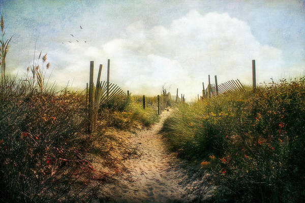 Summer Art Print featuring the photograph Summer Pathway by John Rivera