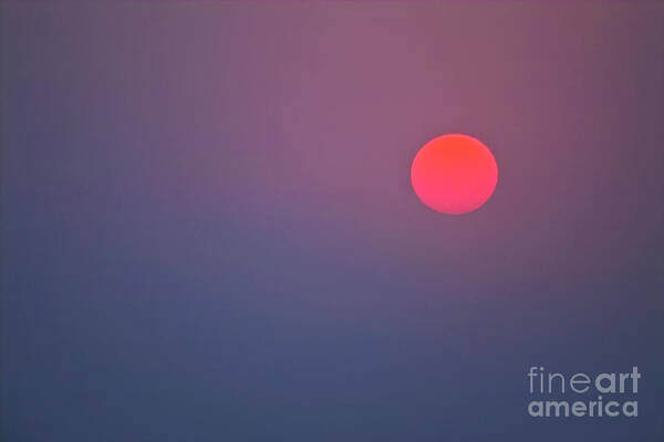 Sun Art Print featuring the photograph Sundown by Heiko Koehrer-Wagner