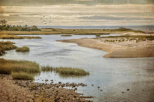 Inlet Art Print featuring the photograph Sunken Meadow by Cathy Kovarik