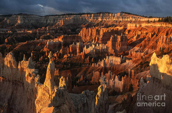 Bryce Canyon Art Print featuring the photograph Sunrise at Bryce Canyon by Sandra Bronstein