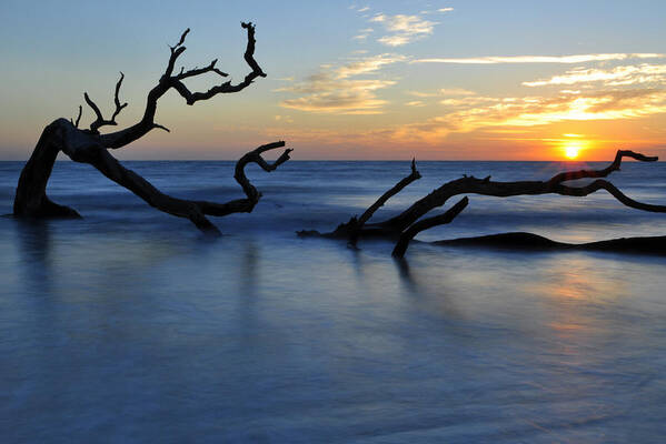 Beach Photographs Art Print featuring the photograph Sunrise at Driftwood Beach 7.3 by Bruce Gourley