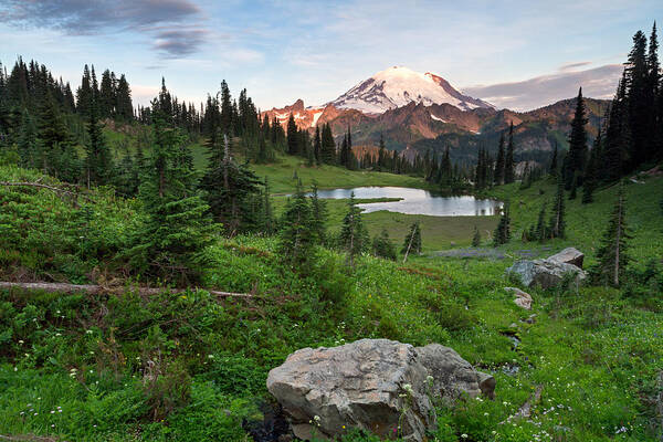 Abies Lasiocarpa Art Print featuring the photograph Sunrise at Mount Rainier and Upper Tipsoo Lake by Michael Russell