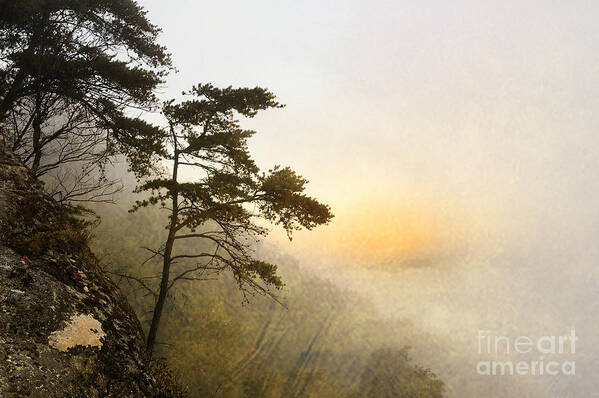 Fog Art Print featuring the photograph Sunrise in the Mist - D004200a-a by Daniel Dempster