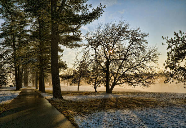 Landscape Art Print featuring the photograph Sunrise in the Park by Robert Culver