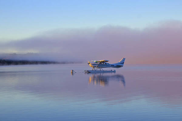 Seaplane Art Print featuring the photograph Misty Sunrise on Lake Te Anau by Venetia Featherstone-Witty