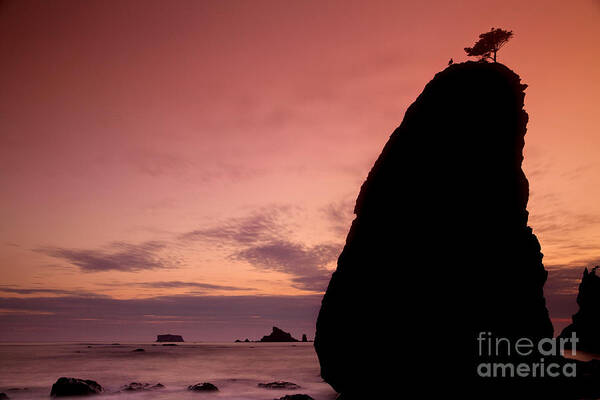 Seascape Art Print featuring the photograph Sunset at Rialto Beach by Keith Kapple