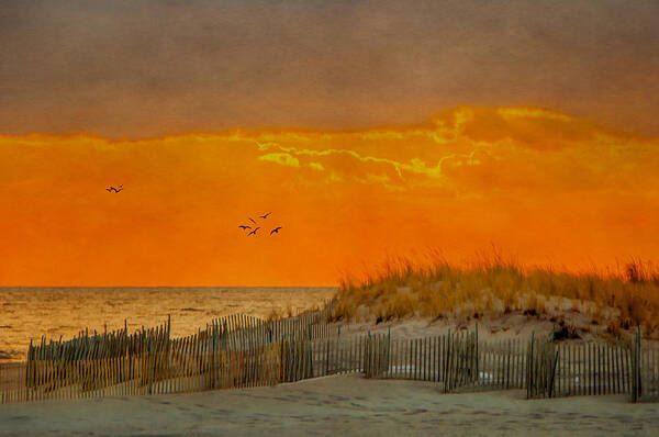 Beach Art Print featuring the photograph Sunset At Robert Moses Park by Cathy Kovarik