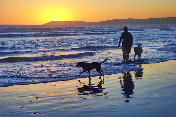 Beach Art Print featuring the photograph Sunset Beach Stroll - Man and Dogs by Nikolyn McDonald