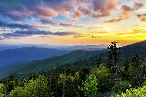 Clingmans Dome Art Print featuring the photograph Sunset from Clingmans dome by Anthony Heflin