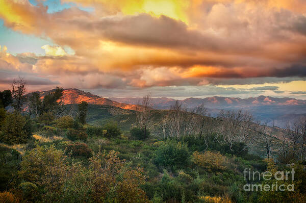 Sunset Art Print featuring the photograph Sunset in the Mountains by Jennifer Magallon