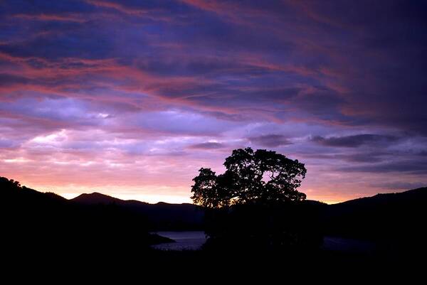 Lake Art Print featuring the photograph Sunset Lake by Matt Quest