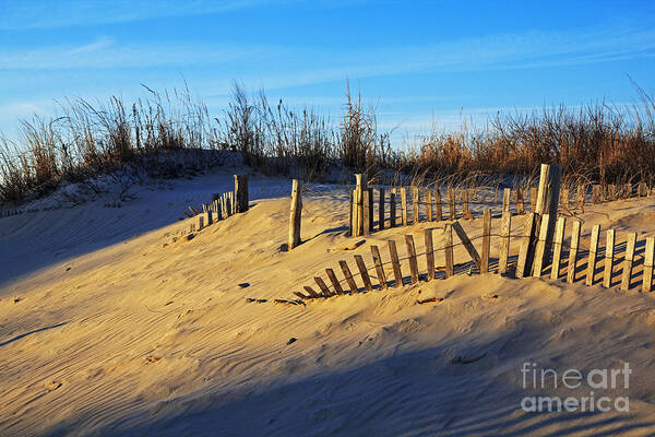 Sand Dunes Art Print featuring the photograph Sunset on the Dunes by Robert Pilkington