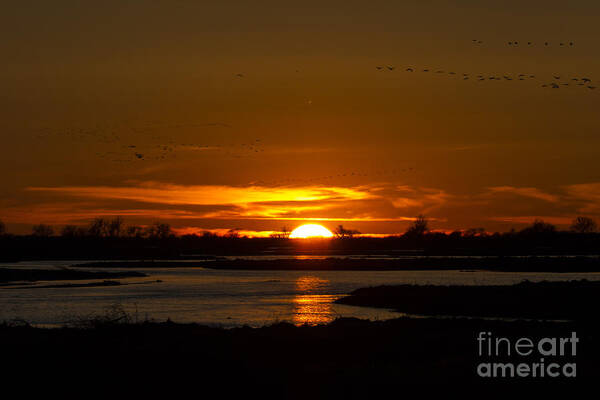 Sunset Art Print featuring the photograph Sunset On The Platte River In Nebraska by Steve Triplett