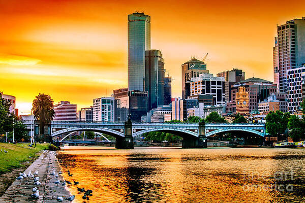 Sunset Art Print featuring the photograph Sunset Over The Yarra by Az Jackson