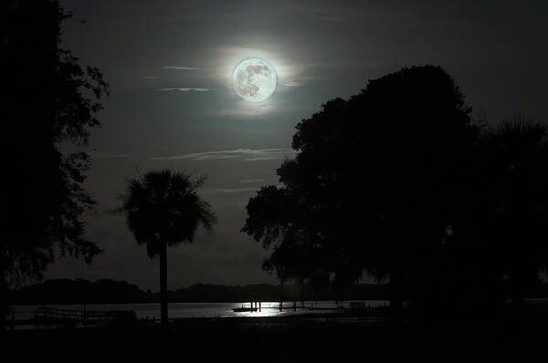 Super Moon Art Print featuring the photograph Super Moon over Wimbee Creek by Scott Hansen