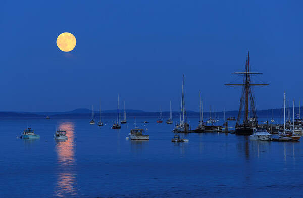 Super Moon Art Print featuring the photograph Super Moon Rising Above Belfast Harbor Maine by Barbara West