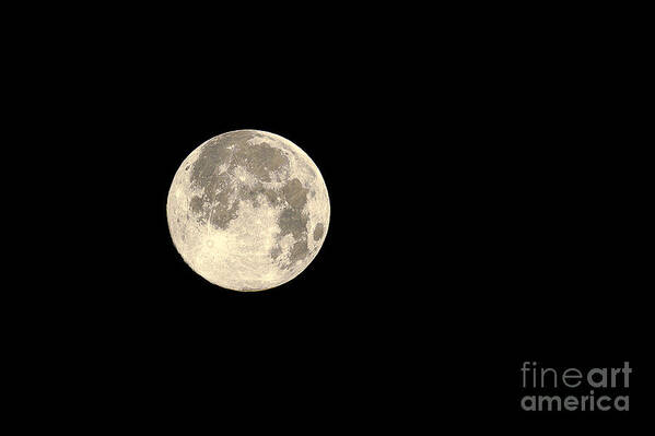Supermoon Art Print featuring the photograph Supermoon July 2014 2 by Sharon Talson
