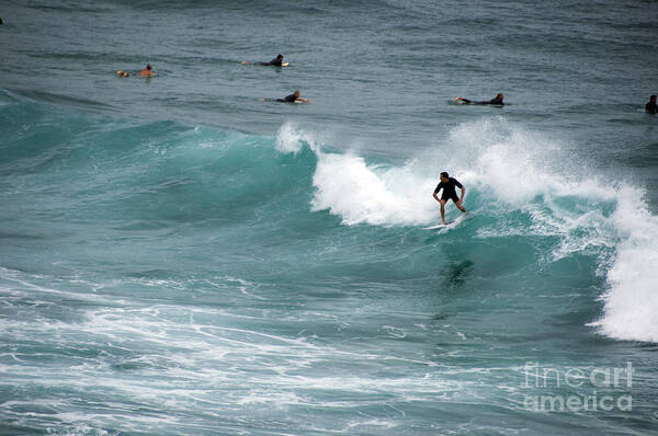 Sydney Art Print featuring the photograph Surfing by Milena Boeva