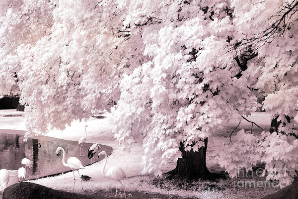 Infrared Art Print featuring the photograph Infrared Pink Flamingo Surreal Nature - Pink Flamingos by Kathy Fornal
