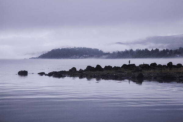 Fog Art Print featuring the photograph Surveying the Fog by Monte Arnold