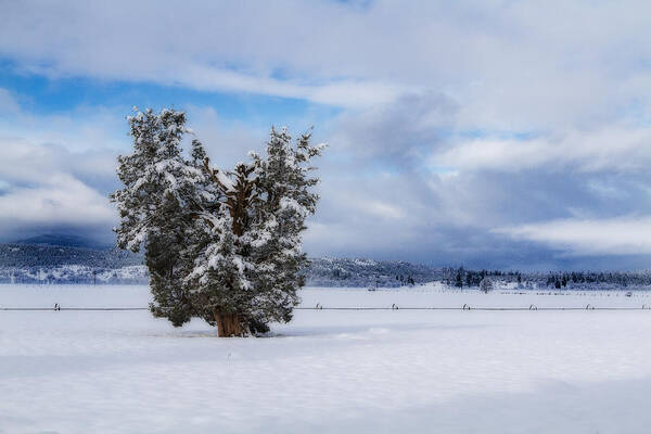 Winter Art Print featuring the photograph Sweeping in Winter by Randy Wood