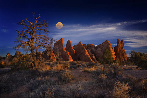 Utah Art Print featuring the photograph Sweet Light by Wendell Thompson