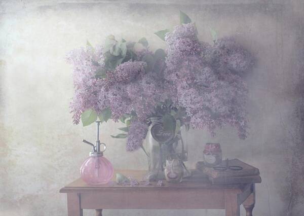 Still Life Art Print featuring the photograph Sweet Lilacs by Delphine Devos