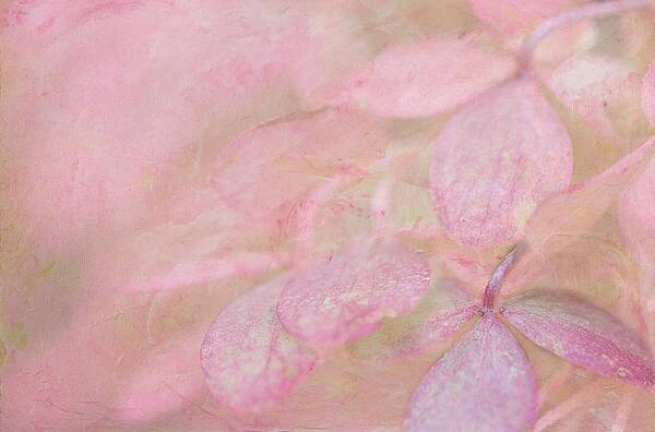 Pink Art Print featuring the digital art Swimming in Petals by Michelle Ayn Potter