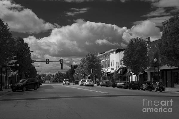 Downtown Art Print featuring the photograph Sycamore in B-W by David Bearden