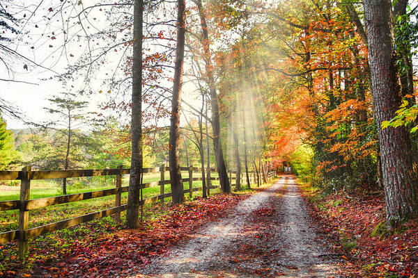 Appalachia Art Print featuring the photograph Take the Back Roads by Debra and Dave Vanderlaan