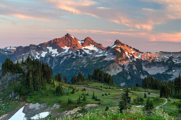 Alpine Art Print featuring the photograph Tatoosh Range from Mazama Ridge by Michael Russell