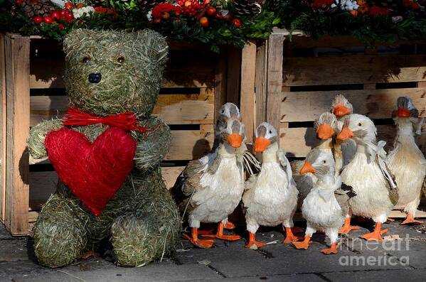 Teddy Art Print featuring the photograph Teddy bear with flock of stuffed ducks by Imran Ahmed