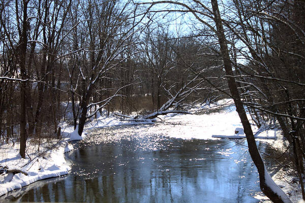 Winter Art Print featuring the photograph Ten Mile River by Barbara Giordano