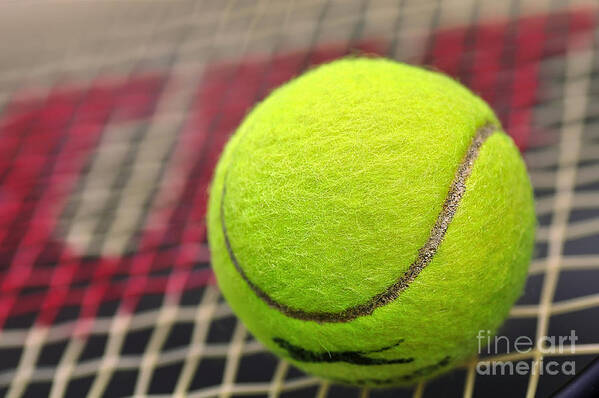Photography Art Print featuring the photograph Tennis Anyone... by Kaye Menner