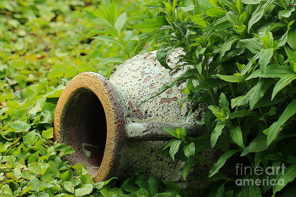 Nature Art Print featuring the photograph Terracotta vase in the green by Amanda Mohler