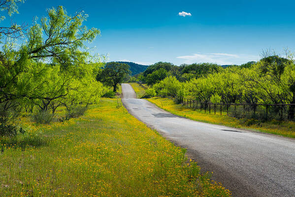 Texas Hill Country Art Print featuring the photograph Texas Hill Country Road by Darryl Dalton