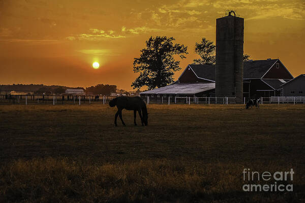 M.c. Story Art Print featuring the photograph The Beauty of a Rural Sunset by Mary Carol Story