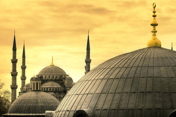 Istanbul Art Print featuring the photograph The Blue Mosque by Tolga Tezcan
