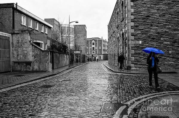 Irish Art Print featuring the photograph The Blue Umbrella - SC by Mary Carol Story