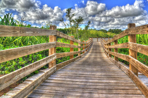 Photography Art Print featuring the photograph The Boardwalk by Paul Wear